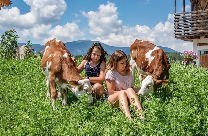 Impressioni del Plieghof a Castelrotto Alto Adige | Alpe di Siusi nelle Dolomiti