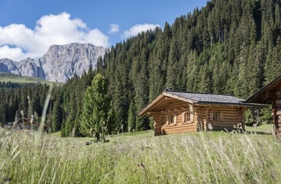 Almhütte auf der Seiser Alm