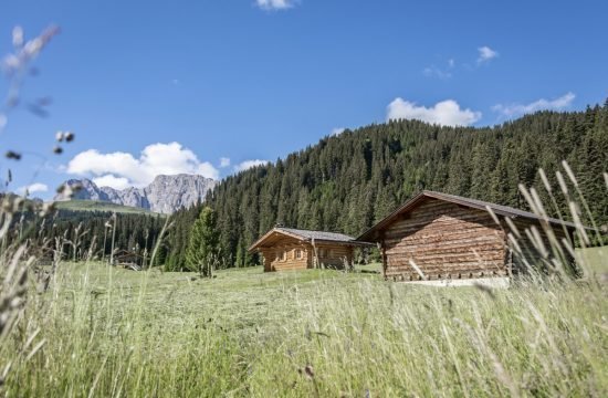 Alm hut on Alpe di Siusi