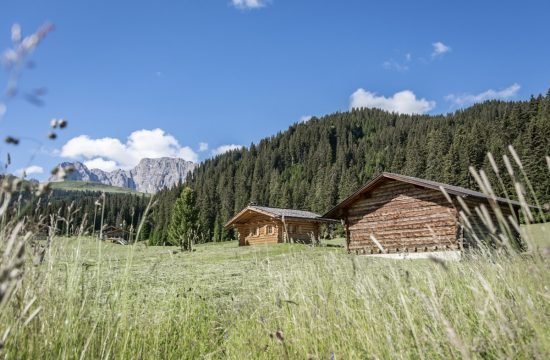 Almhütte auf der Seiser Alm