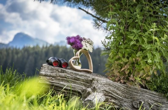 Almhütte auf der Seiser Alm