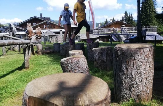 Baita sull’Alpe di Siusi