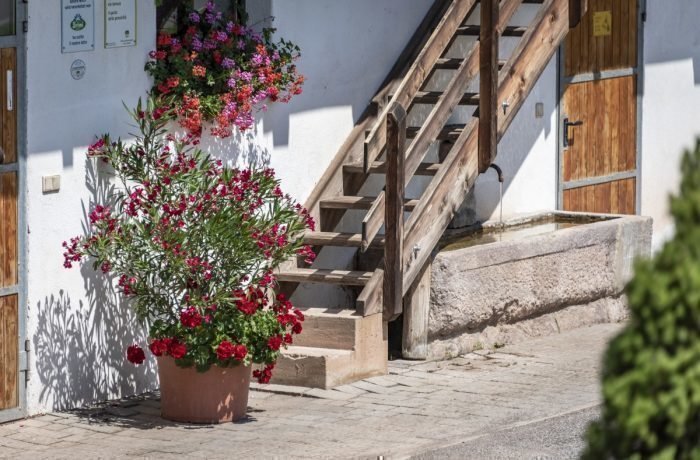 Impressioni del Plieghof a Castelrotto Alto Adige | Alpe di Siusi nelle Dolomiti