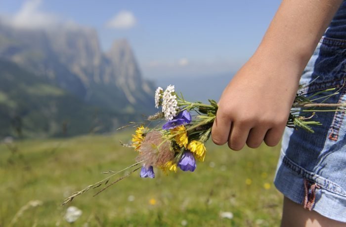 Impressioni del Plieghof a Castelrotto Alto Adige | Alpe di Siusi nelle Dolomiti