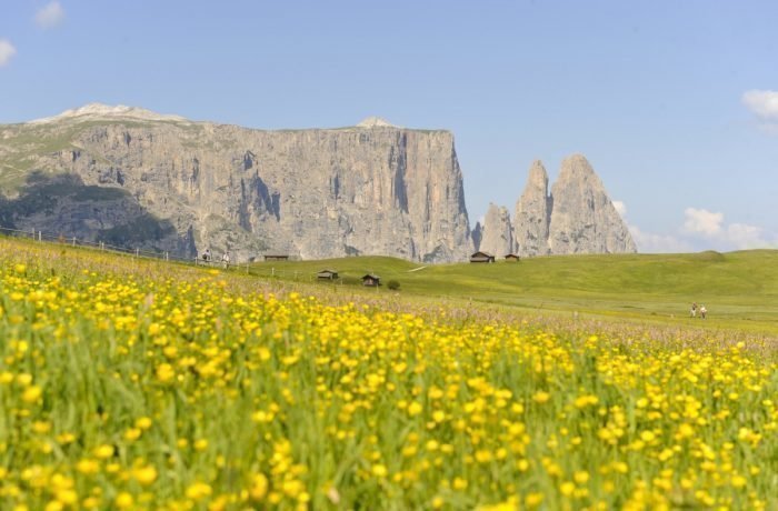 Impressionen vom Plieghof in Kastelruth Südtirol | Seiseralm in den Dolomiten