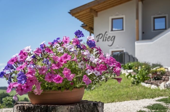 Impressioni del Plieghof a Castelrotto Alto Adige | Alpe di Siusi nelle Dolomiti