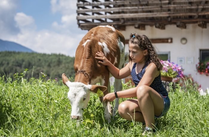 Impressioni del Plieghof a Castelrotto Alto Adige | Alpe di Siusi nelle Dolomiti