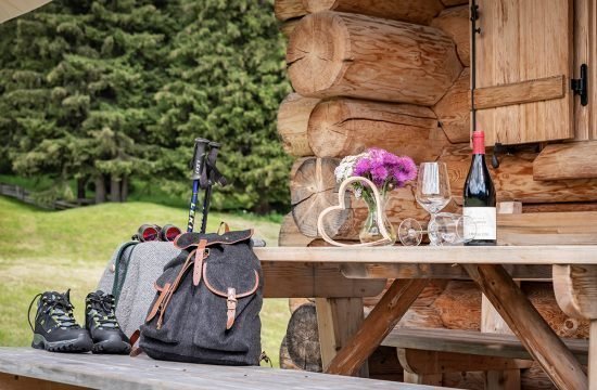 Alm hut on Alpe di Siusi